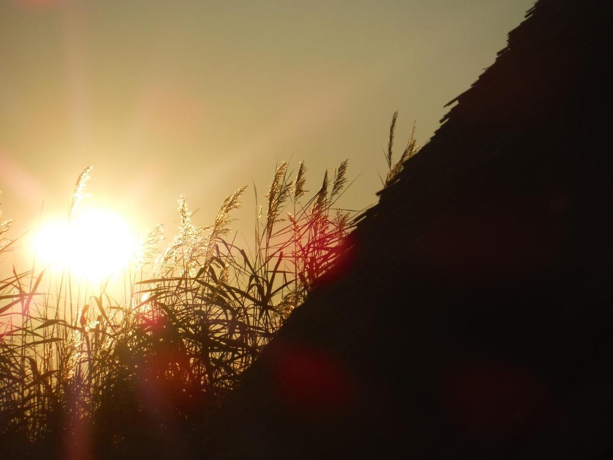 Pfahlbau Sunset I Toplage Elektroboot Inklusive Rust Ngoại thất bức ảnh